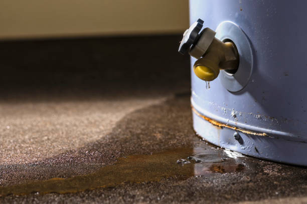 Best Water damage cleanup near me  in Fritch, TX