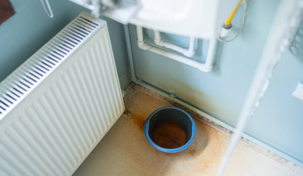 Best Basement water damage restoration  in Fritch, TX