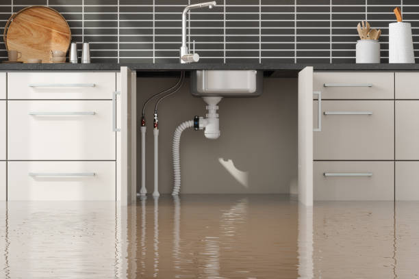 Best 24/7 water damage repair  in Fritch, TX