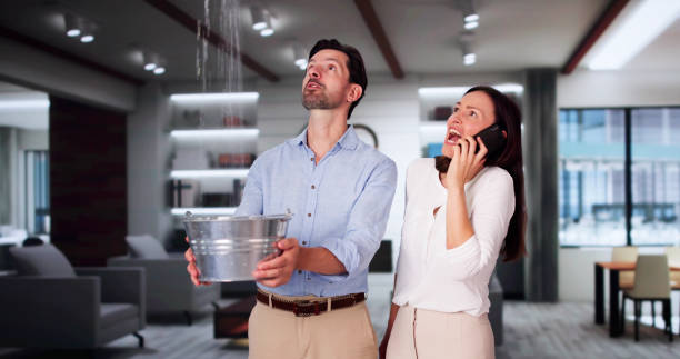 Best Fire Damage Restoration  in Fritch, TX