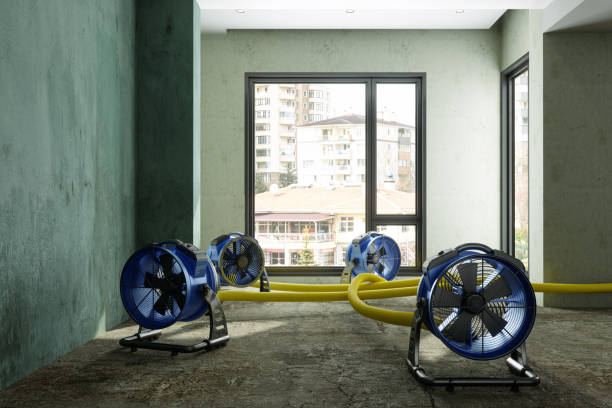 Best Water damage restoration experts  in Fritch, TX